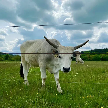 Kekmadaras Vendeghaz Affittacamere 4*